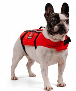 dog lifejacket