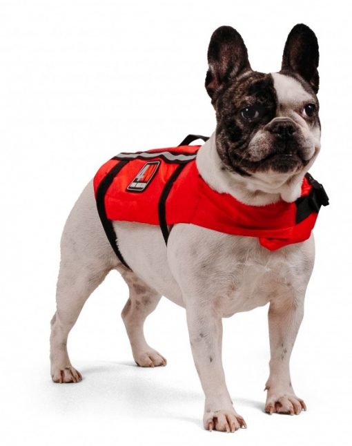dog lifejacket