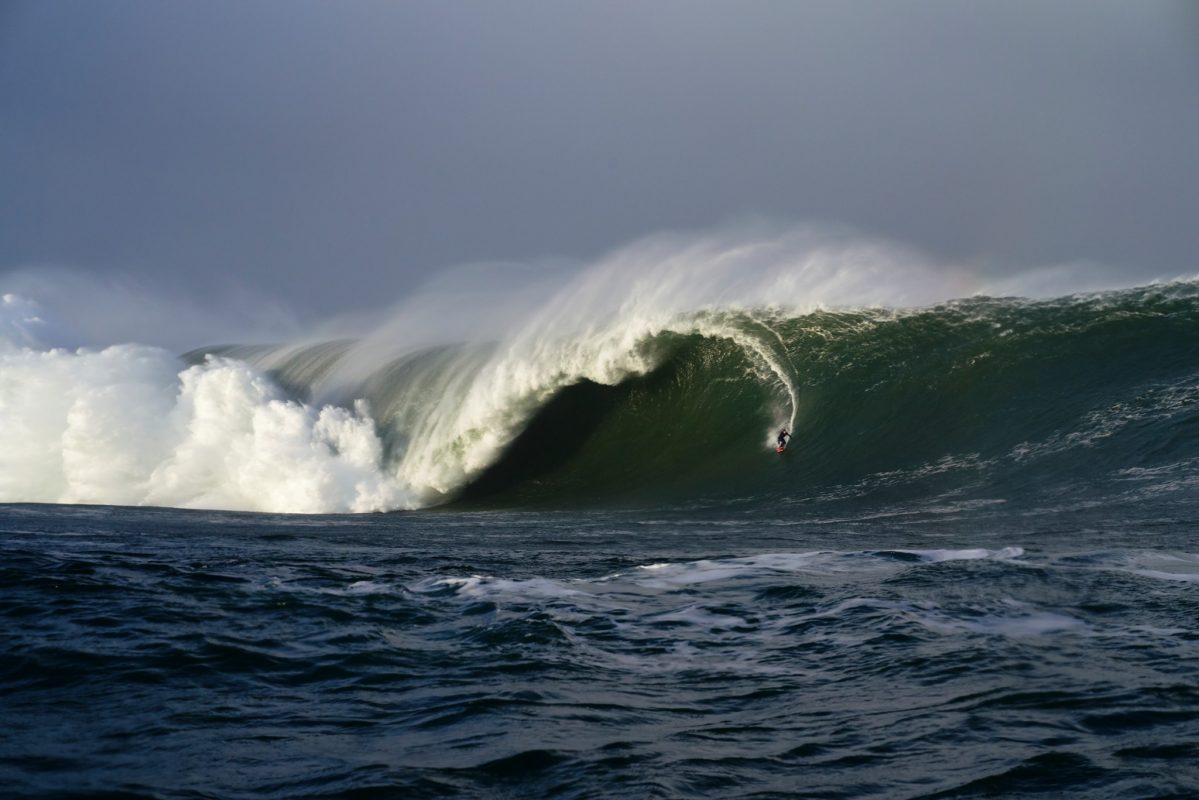 Conor maguire surfer discount