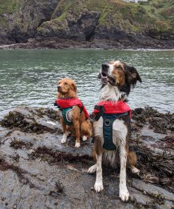 dog life jacket buoyancy aid