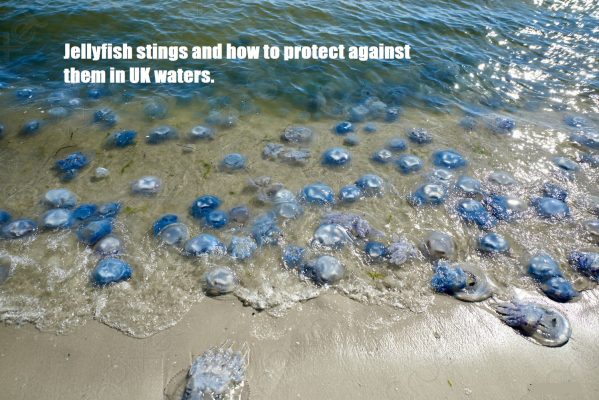 Jellyfish stings and how to protect against them in UK waters.
