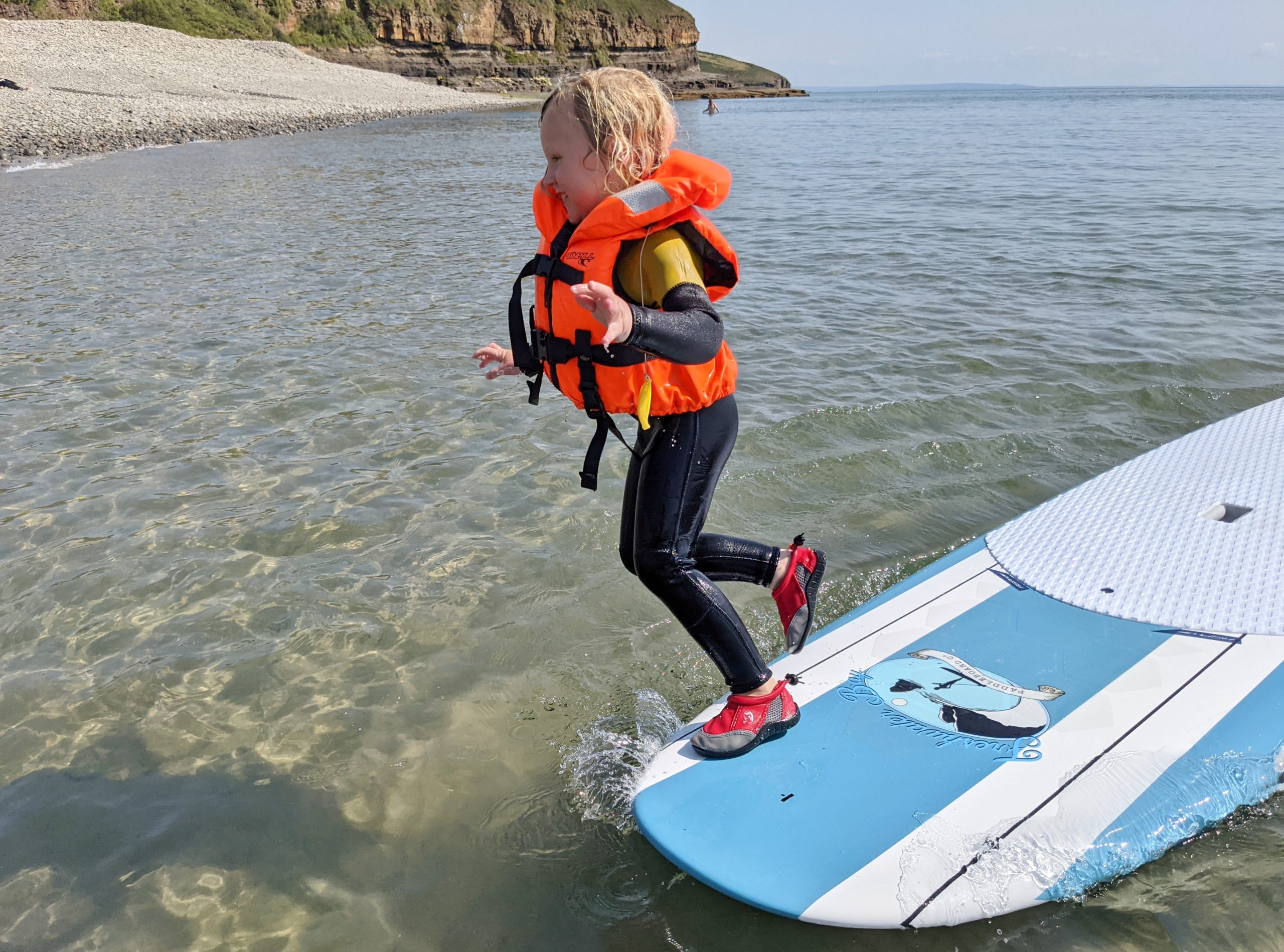 Freshwater Bay Paddleboard Co. Classic stand up paddle board 9'11 / 10'6 painted glass / Paulownia wood fins. #28