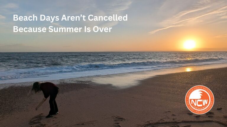 Beach Days Arenβt Cancelled Because Summer Is Over